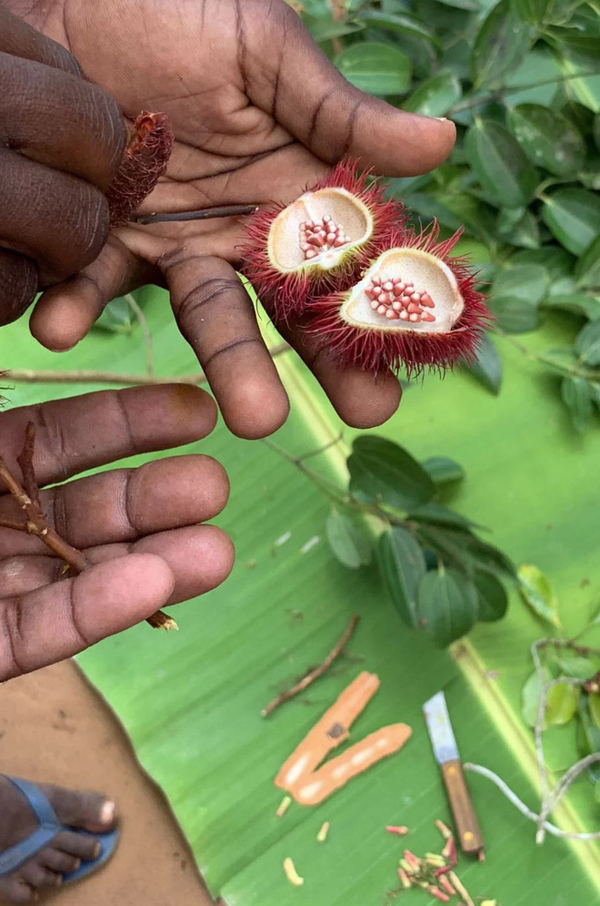 Ngắm 22 bức ảnh đời thường được chụp từ iPhone XS: có xứng danh camera tiên tiến nhất thế giới như Apple quảng cáo? - Ảnh 5.