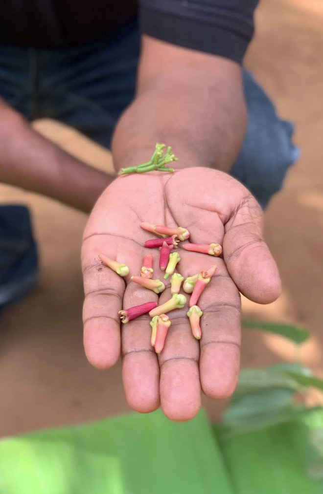 Ngắm 22 bức ảnh đời thường được chụp từ iPhone XS: có xứng danh camera tiên tiến nhất thế giới như Apple quảng cáo? - Ảnh 4.