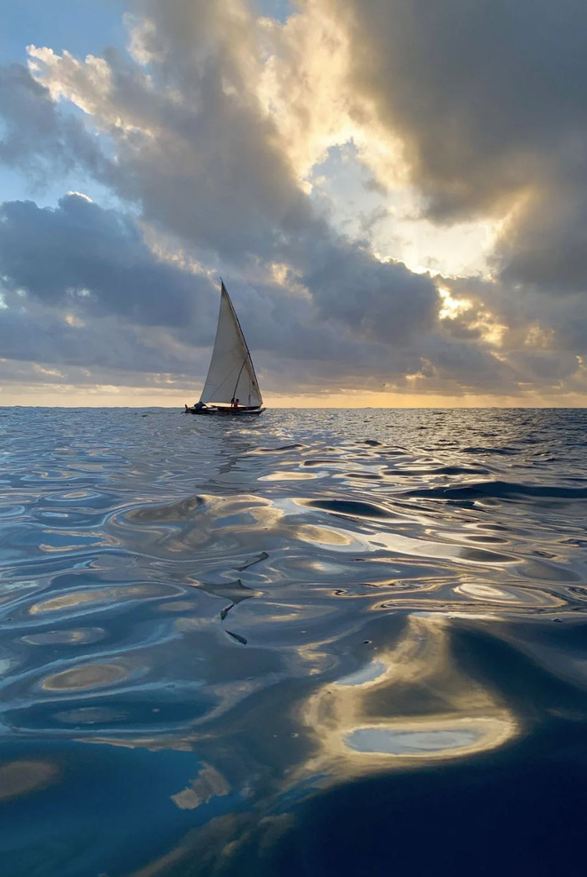 Ngắm 22 bức ảnh đời thường được chụp từ iPhone XS: có xứng danh camera tiên tiến nhất thế giới như Apple quảng cáo? - Ảnh 10.