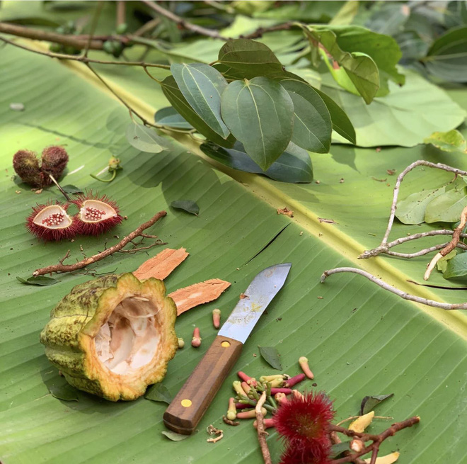 Ngắm 22 bức ảnh đời thường được chụp từ iPhone XS: có xứng danh camera tiên tiến nhất thế giới như Apple quảng cáo? - Ảnh 6.