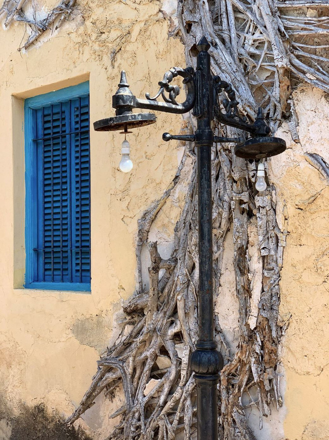 Ngắm 22 bức ảnh đời thường được chụp từ iPhone XS: có xứng danh camera tiên tiến nhất thế giới như Apple quảng cáo? - Ảnh 9.