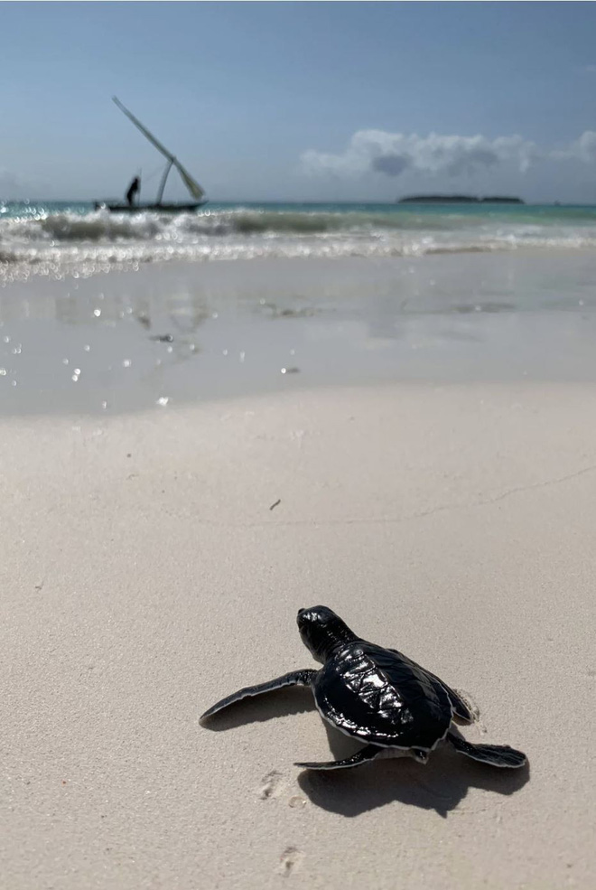 Ngắm 22 bức ảnh đời thường được chụp từ iPhone XS: có xứng danh camera tiên tiến nhất thế giới như Apple quảng cáo? - Ảnh 20.