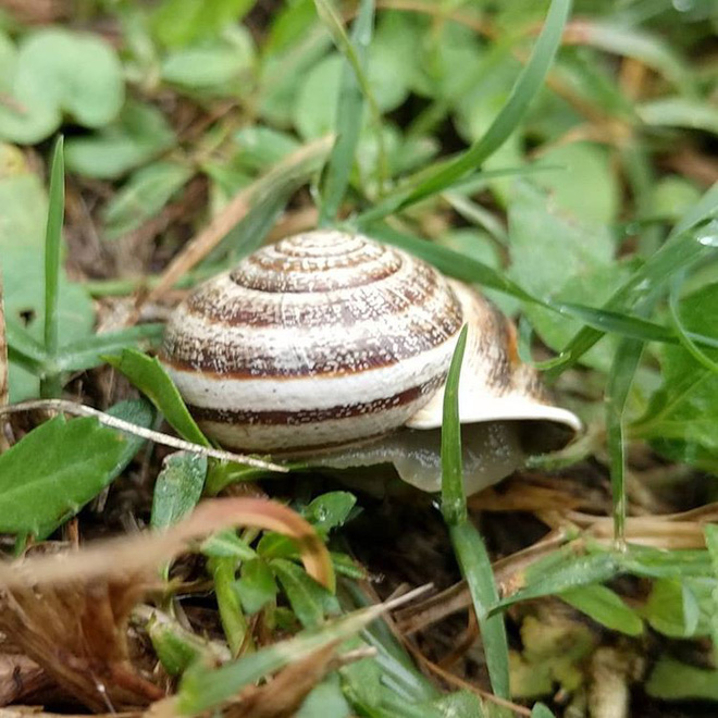 Đã xuất hiện những bức ảnh đầu tiên chụp bởi smartphone màn hình holographic Red Hydrogen One - Ảnh 3. Đã xuất hiện những bức ảnh đầu tiên chụp bởi smartphone màn hình holographic Red Hydrogen One - Ảnh 3.