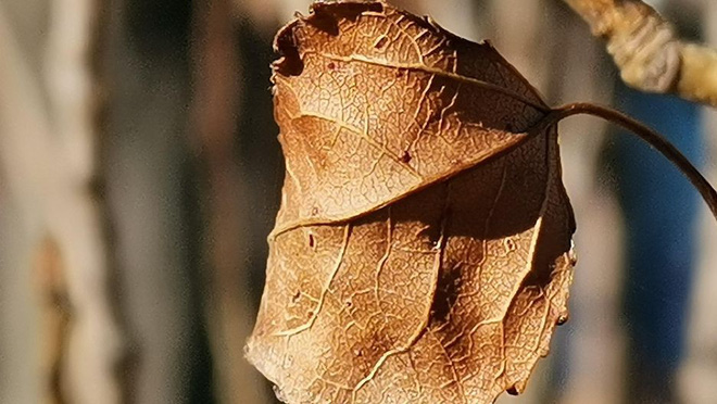 Đây là 41 tấm ảnh dạo quanh London được chụp từ Huawei Mate 20 - Ảnh 12. Đây là 41 tấm ảnh dạo quanh London được chụp từ Huawei Mate 20 - Ảnh 12.