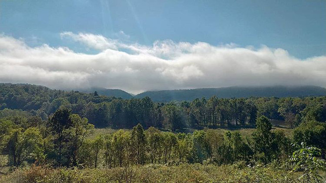 Đã xuất hiện những bức ảnh đầu tiên chụp bởi smartphone màn hình holographic Red Hydrogen One - Ảnh 7. Đã xuất hiện những bức ảnh đầu tiên chụp bởi smartphone màn hình holographic Red Hydrogen One - Ảnh 7.