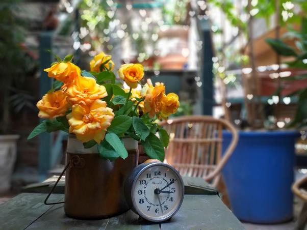 Đánh giá camera Galaxy J6+: bắt trend bằng bokeh, thể hiện cá tính bằng chất lượng ảnh - Ảnh 10.