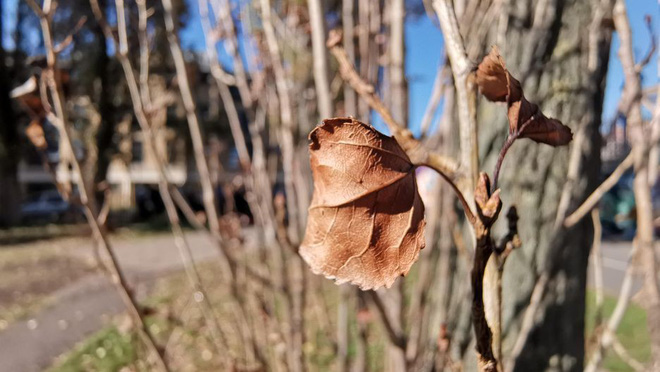 Đây là 41 tấm ảnh dạo quanh London được chụp từ Huawei Mate 20 - Ảnh 11. Đây là 41 tấm ảnh dạo quanh London được chụp từ Huawei Mate 20 - Ảnh 11.