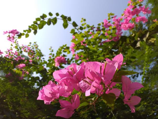 Đánh giá camera Galaxy J6+: bắt trend bằng bokeh, thể hiện cá tính bằng chất lượng ảnh - Ảnh 16.