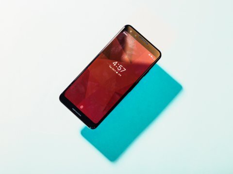 Google Pixel 3 vs. iPhone XS: mèo nào cắn mỉu nào? - Ảnh 3. Google Pixel 3 vs. iPhone XS: mèo nào cắn mỉu nào? - Ảnh 3.