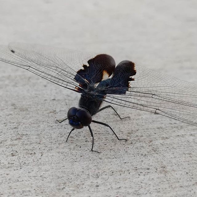 Đã xuất hiện những bức ảnh đầu tiên chụp bởi smartphone màn hình holographic Red Hydrogen One - Ảnh 6. Đã xuất hiện những bức ảnh đầu tiên chụp bởi smartphone màn hình holographic Red Hydrogen One - Ảnh 6.